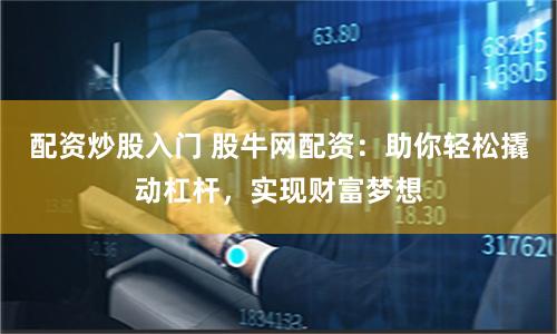 配资炒股入门 股牛网配资：助你轻松撬动杠杆，实现财富梦想