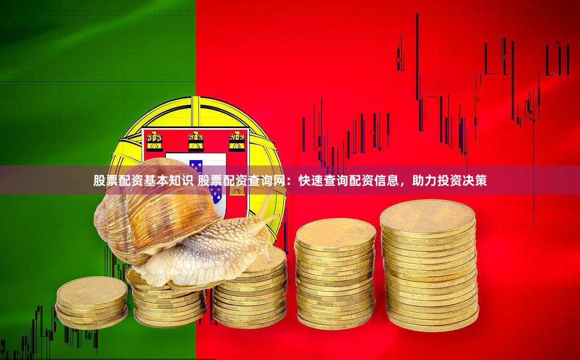 股票配资基本知识 股票配资查询网：快速查询配资信息，助力投资决策