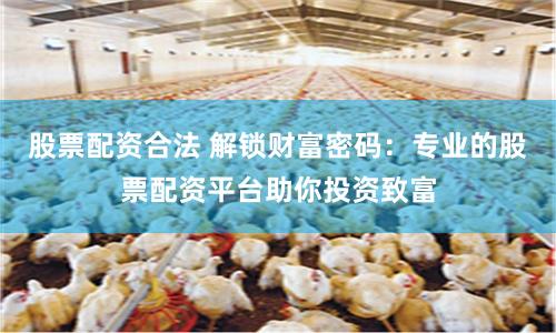 股票配资合法 解锁财富密码：专业的股票配资平台助你投资致富