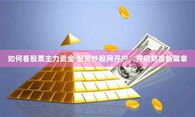 如何看股票主力资金 配资炒股网开户，开启财富新篇章